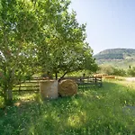 Nocellara Tatil Evi *
