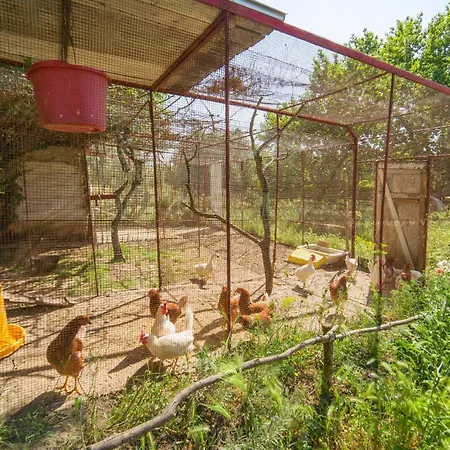 Nocellara 度假居 *